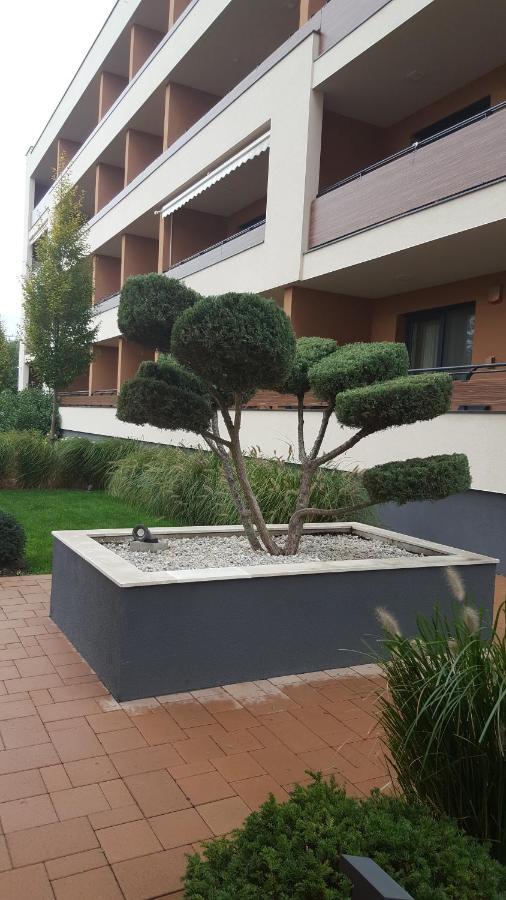 דירות דברצן Big Forest Apartman מראה חיצוני תמונה